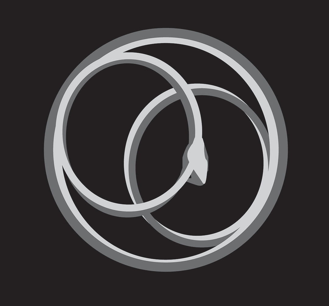 The Ouroboros: the inspiration for our logo:
