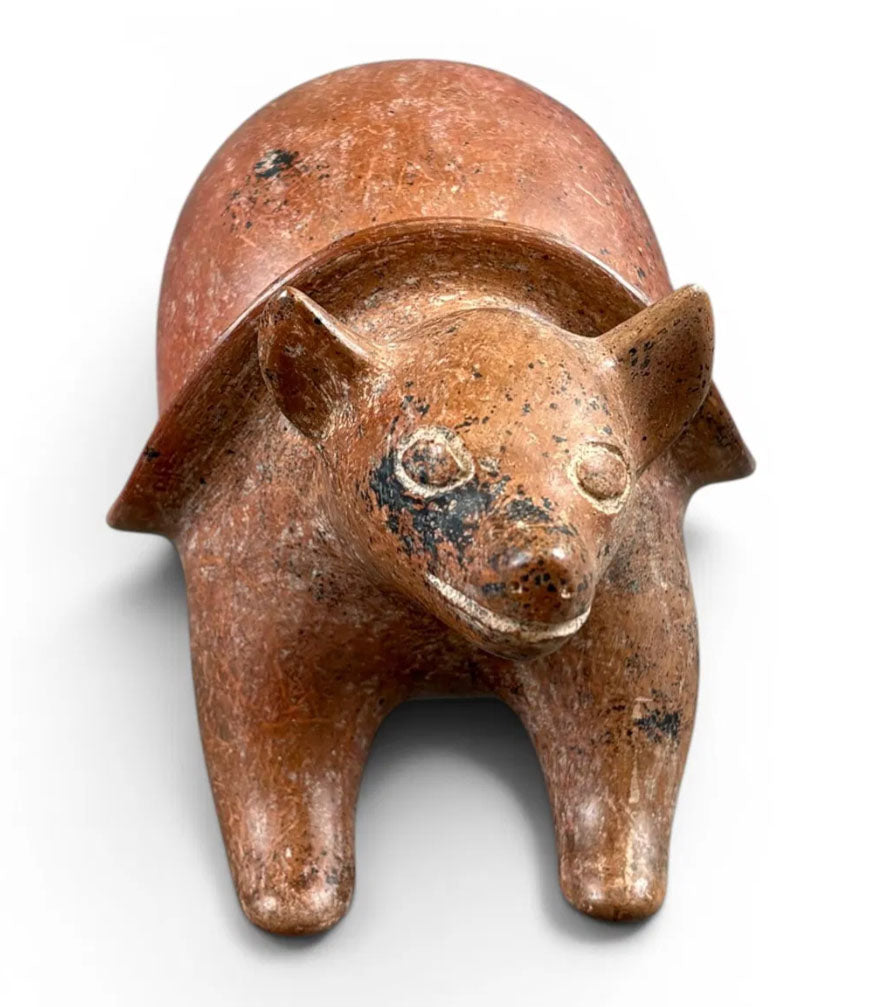 Colima Pottery Redware Armadillo Vessel