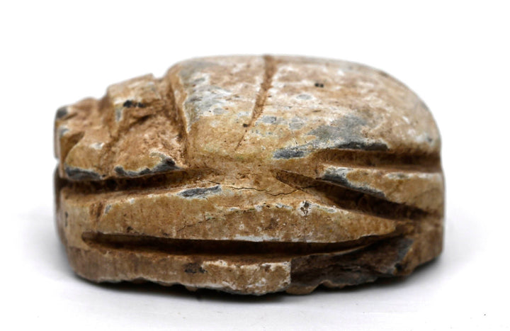 Egyptian Glazed Steatite Scarab with Geometric Motif

