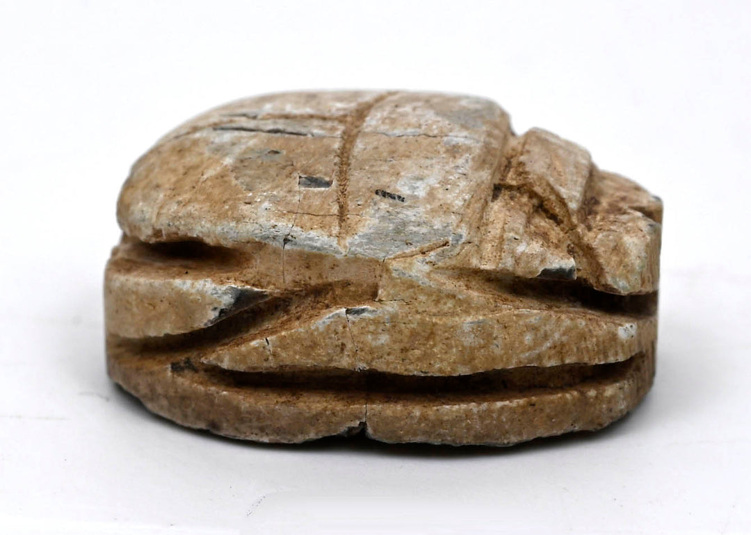 Egyptian Glazed Steatite Scarab with Geometric Motif
