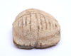 Ancient Egyptian Stone Scarab Amulet