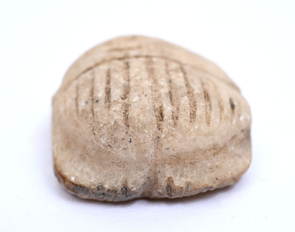 Ancient Egyptian Stone Scarab Amulet