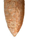 Phoenician or Punic Terracotta Transport Amphora