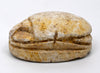 Egyptian Tan Steatite Apotropaic Scarab 