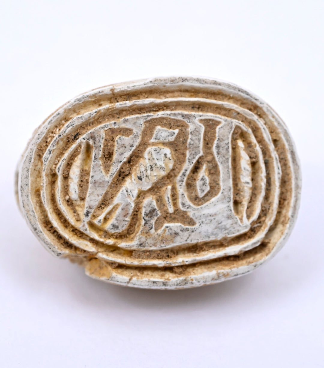 Ancient Egyptian Glazed Steatite Scarab with Lotus Elytra