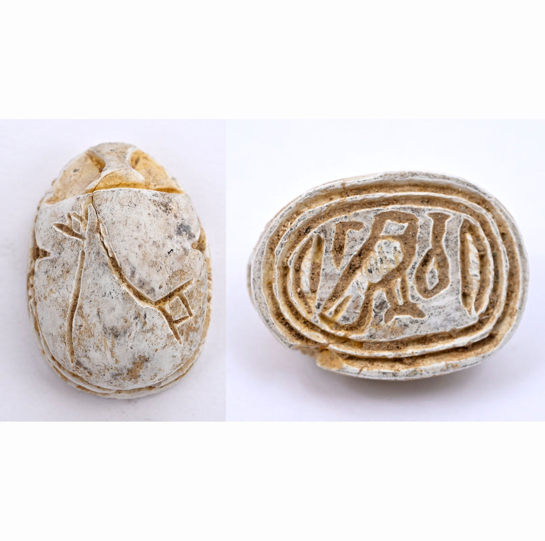 Ancient Egyptian Glazed Steatite Scarab with Lotus Elytra