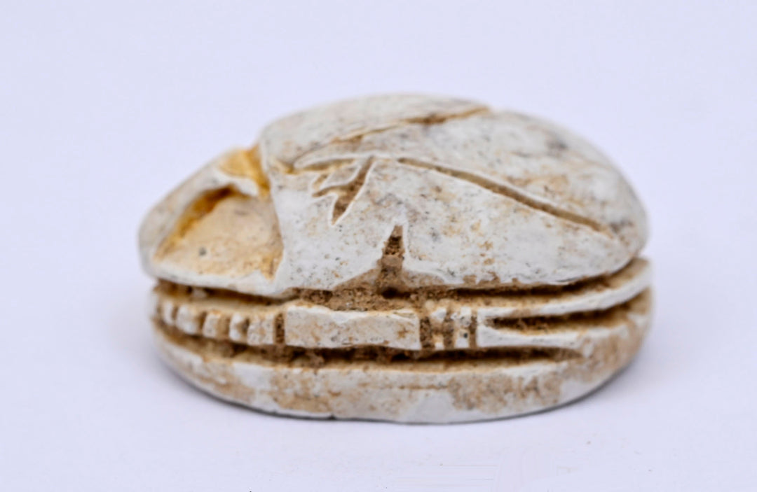 Ancient Egyptian Glazed Steatite Scarab with Lotus Elytra