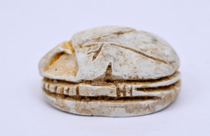 Ancient Egyptian Glazed Steatite Scarab with Lotus Elytra