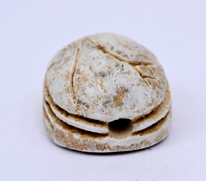 Ancient Egyptian Glazed Steatite Scarab with Lotus Elytra