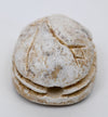 Ancient Egyptian Glazed Steatite Scarab with Lotus Elytra