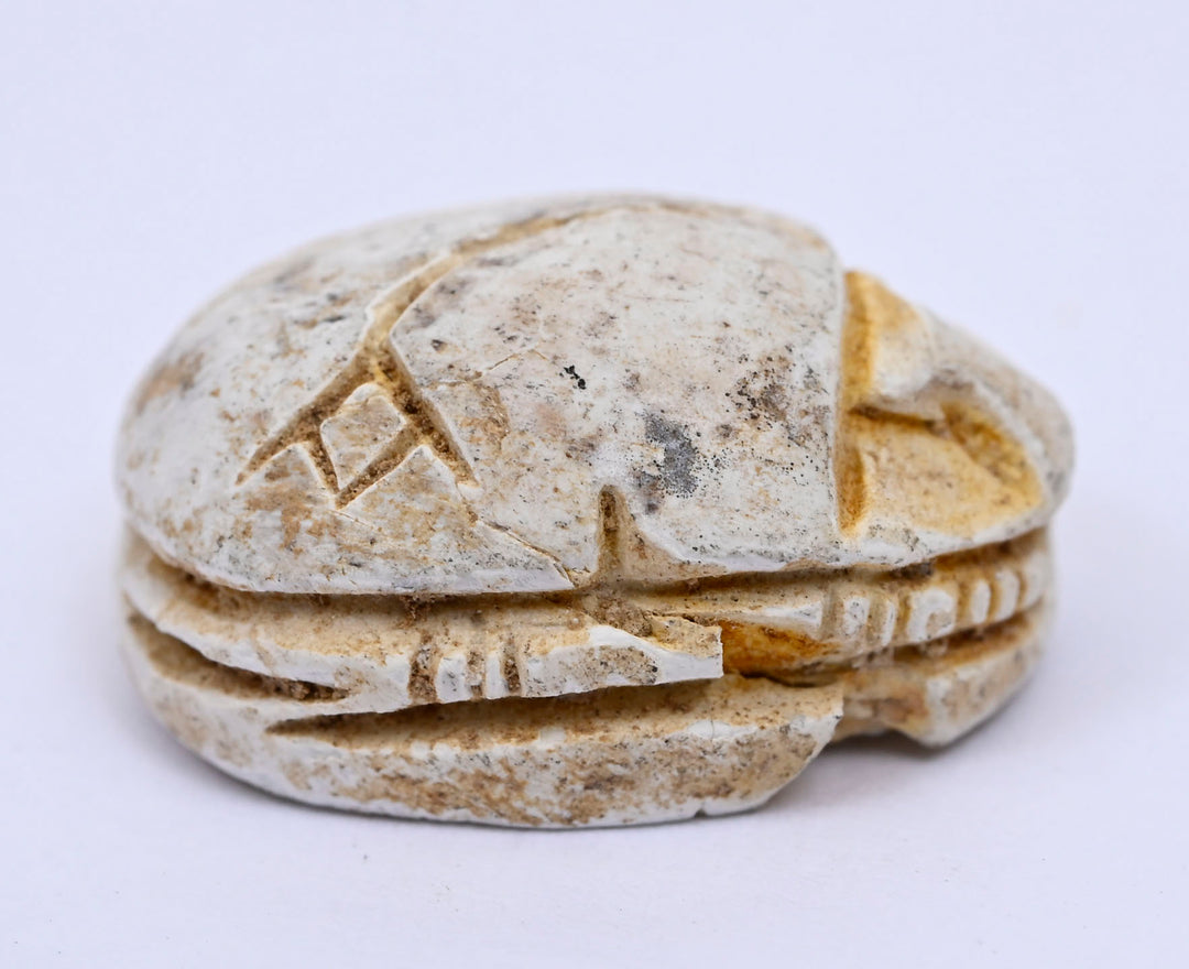 Ancient Egyptian Glazed Steatite Scarab with Lotus Elytra