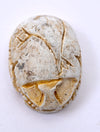 Ancient Egyptian Glazed Steatite Scarab with Lotus Elytra