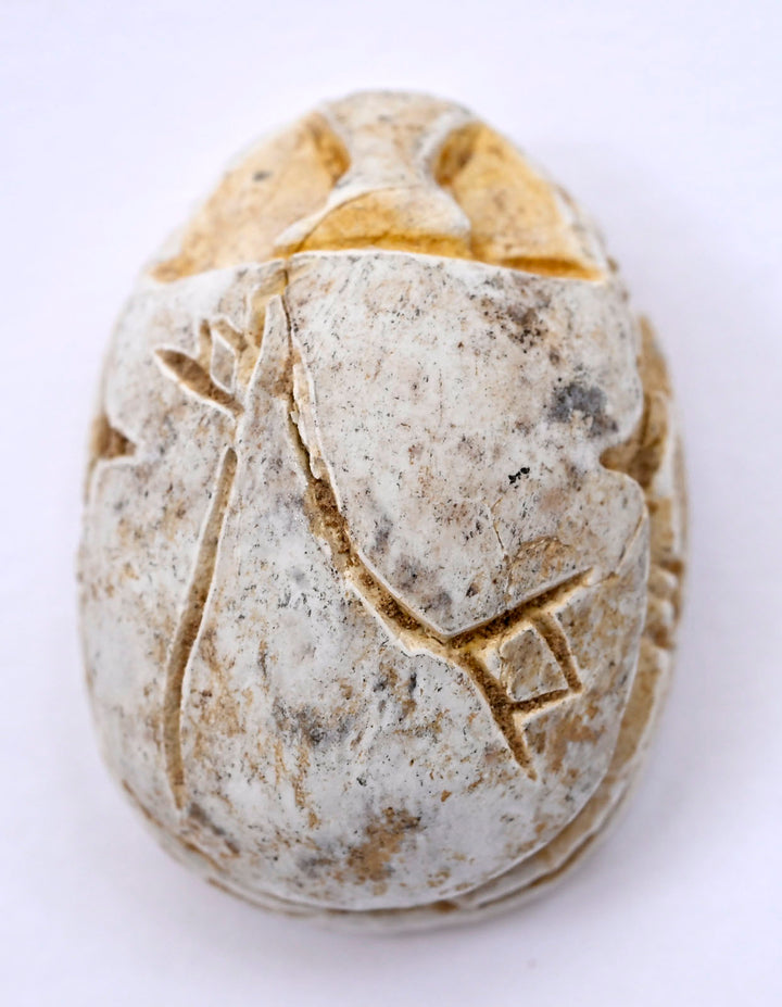 Ancient Egyptian Glazed Steatite Scarab with Lotus Elytra