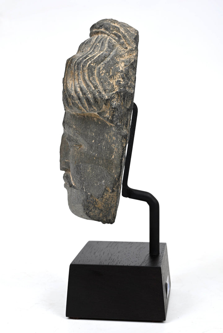 Gandharan Grey Schist Head of a Bodhisattva