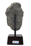 Gandharan Grey Schist Head of a Bodhisattva