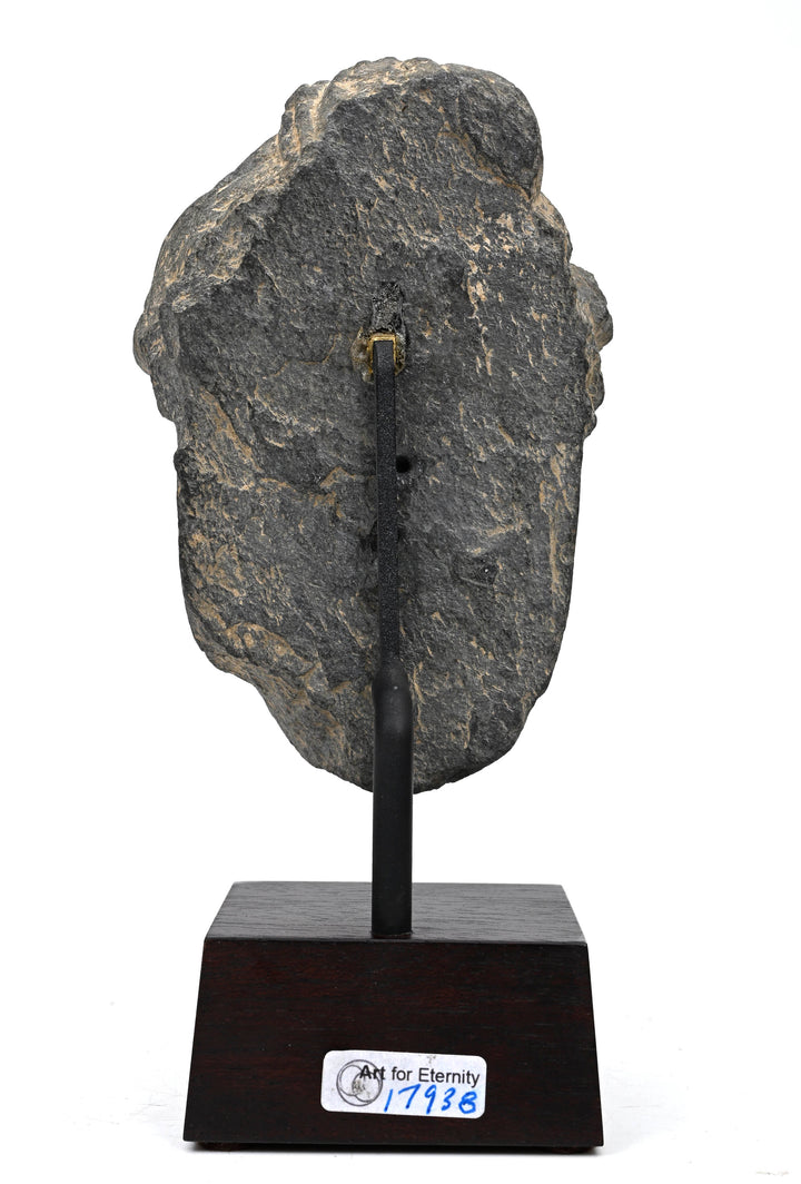 Gandharan Grey Schist Head of a Bodhisattva