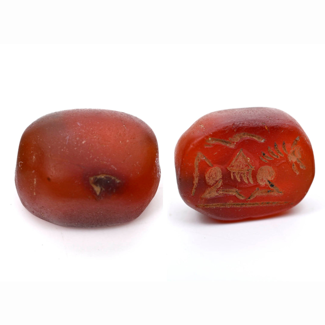 Ancient Egyptian Carnelian Scarabid  