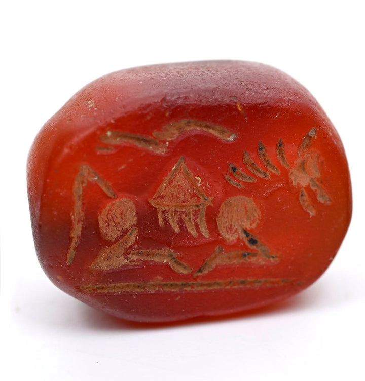 Ancient Egyptian Carnelian Scarabid  