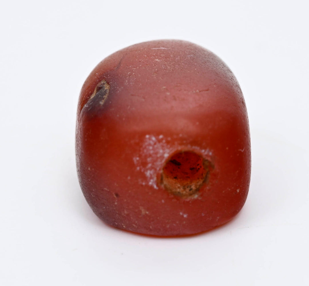 Ancient Egyptian Carnelian Scarabid  
