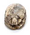 Egyptian Tan Steatite Inscribed Scarab for Protection