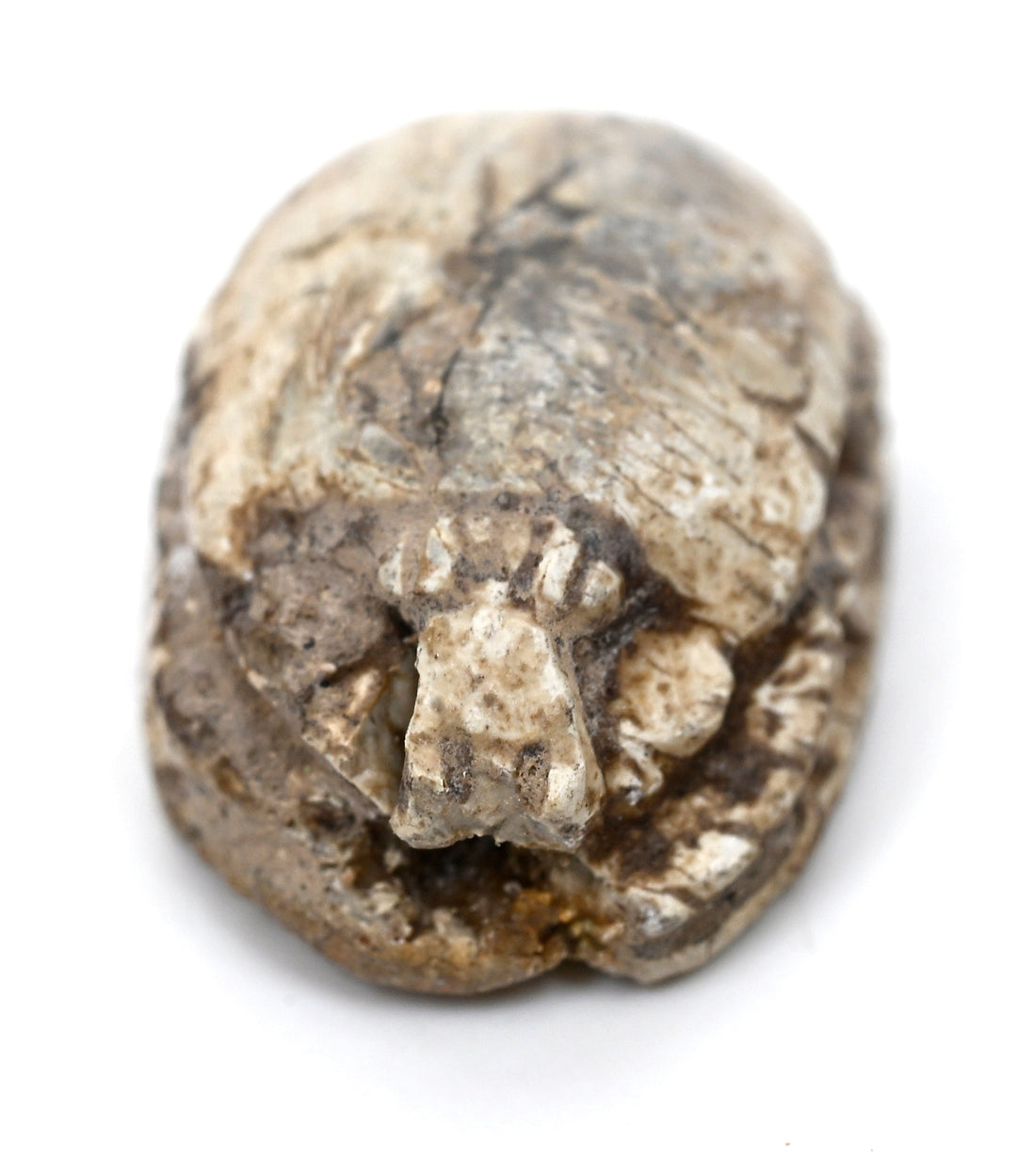 Egyptian Tan Steatite Inscribed Scarab for Protection