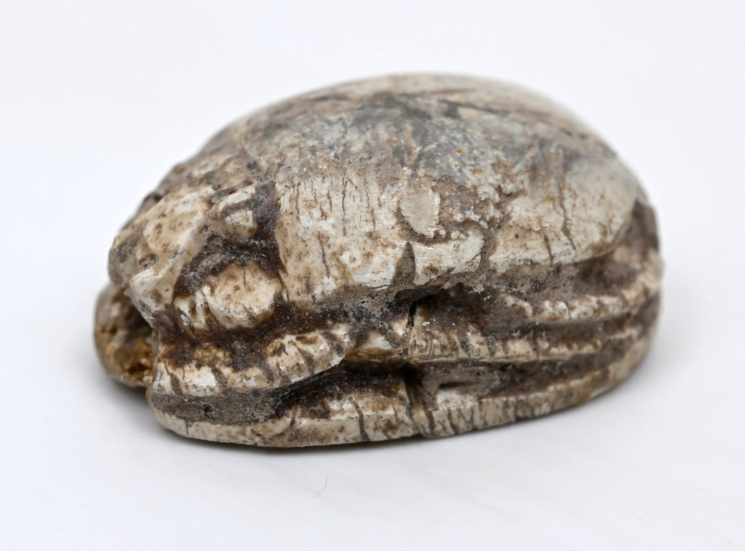Egyptian Tan Steatite Inscribed Scarab for Protection