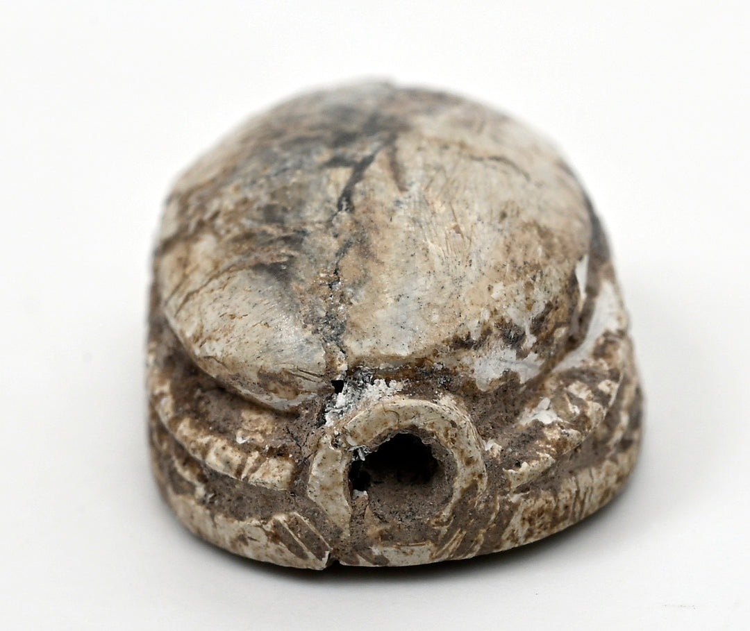 Egyptian Tan Steatite Inscribed Scarab for Protection