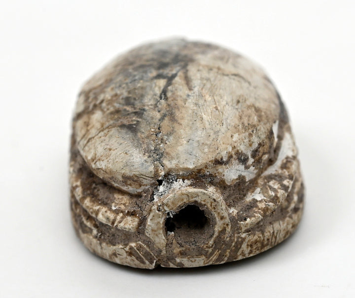 Egyptian Tan Steatite Inscribed Scarab for Protection