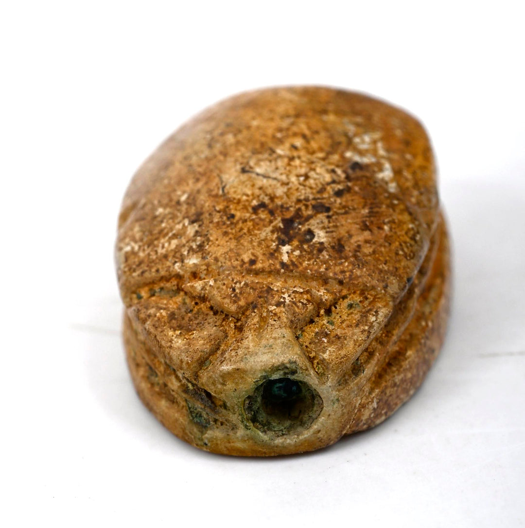 Egyptian Steatite Scarab with Gazelle
