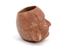 Moche Pottery Portrait Head Vessel