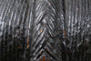 African Mende Sande Society Bundu Helmet Mask