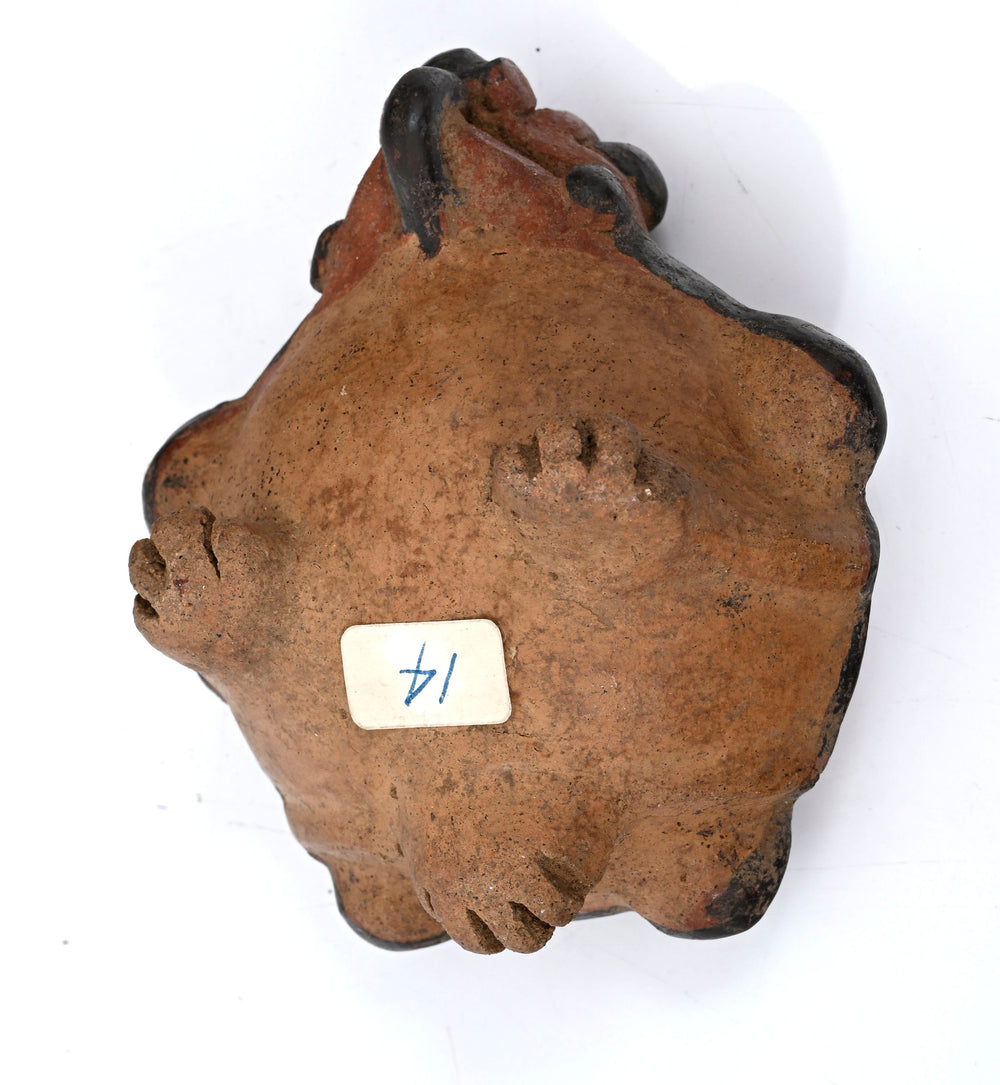 Pre-Columbian Costa Rican Ceramic Turtle Effigy Bowl