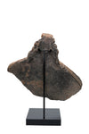 Taíno Pottery Vessel Fragment with Modelled Effigy Head