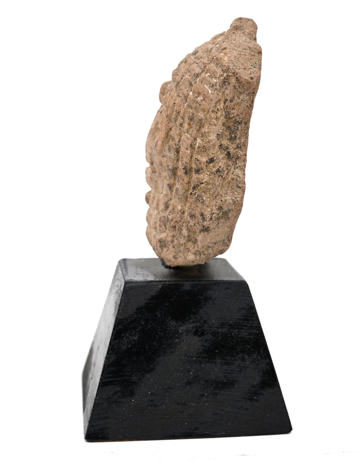 Teotihuacán Mold-Made Terracotta Head of a Rain Deity Impersonator
