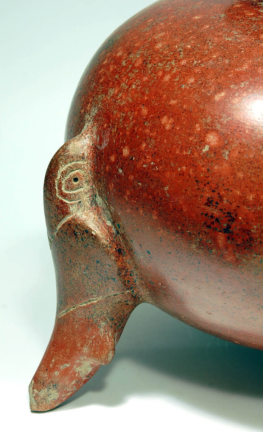 Fine Large Colima Pottery Parrot Vessel