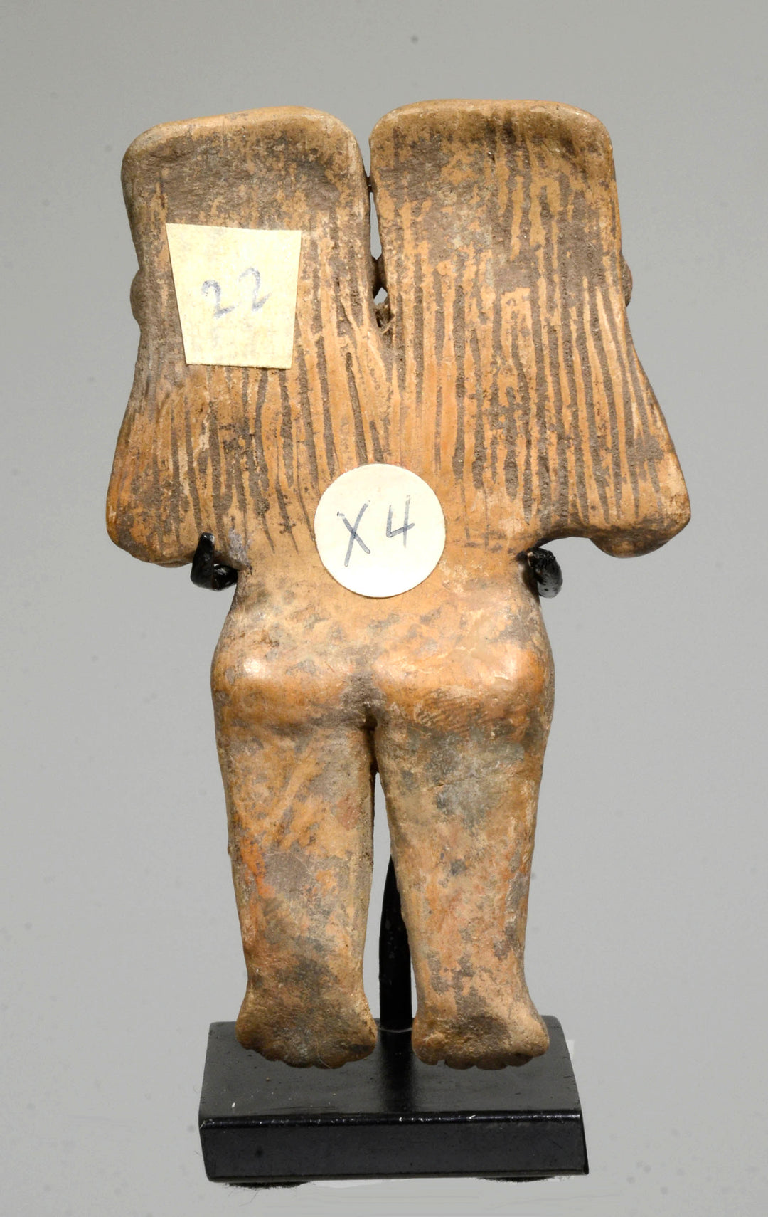 Superb Michoacan Two Headed Pretty Lady