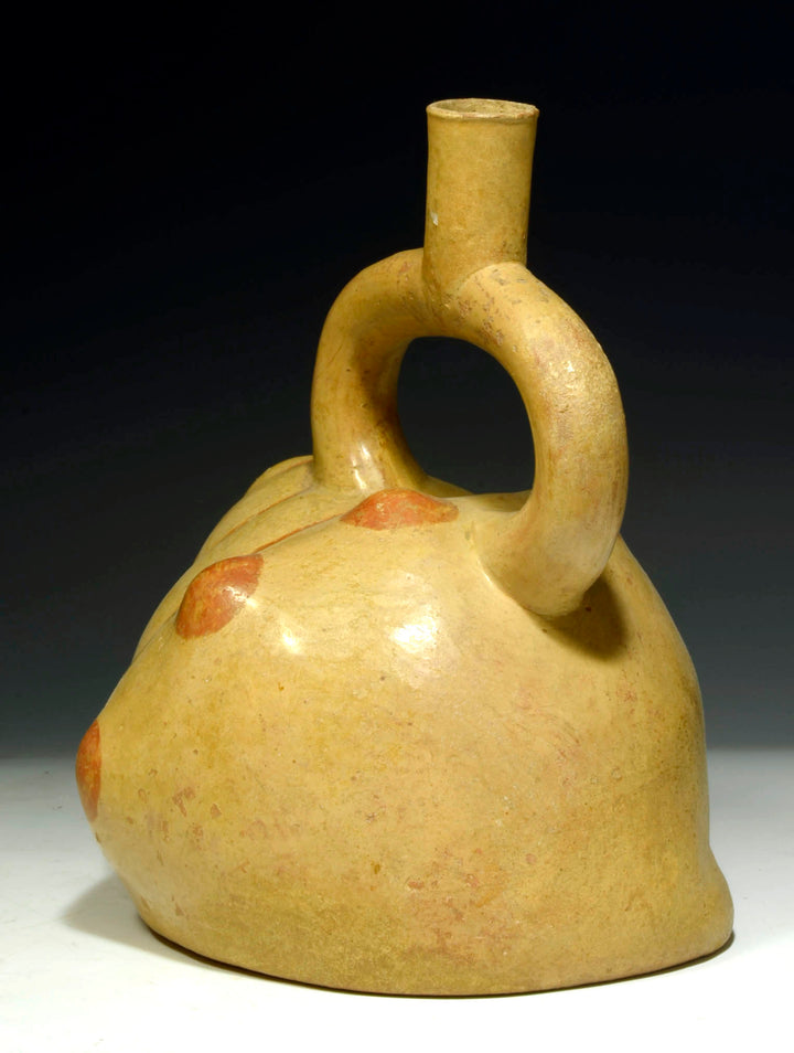 Moche Pottery Sea Shell Stirrup Vessel