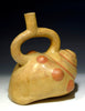 Moche Pottery Sea Shell Stirrup Vessel - Art for Eternity