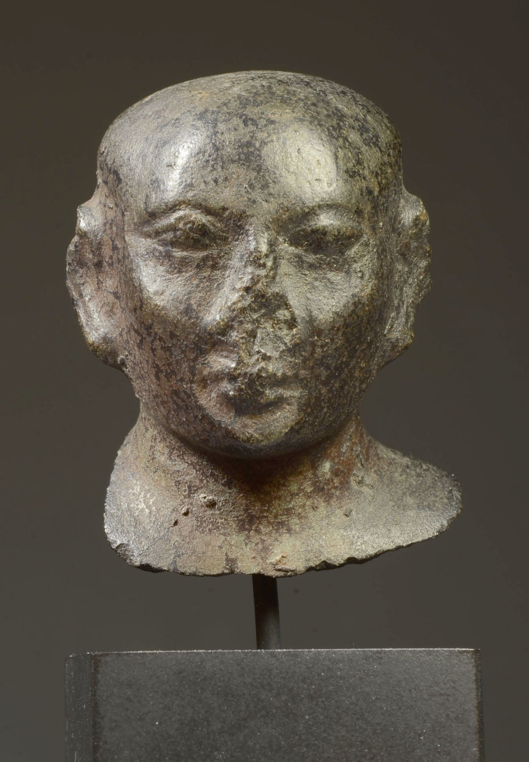 Egyptian Graywacke Stone Head of a Priest