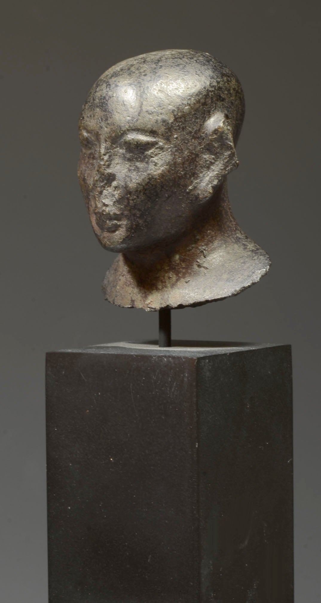 Egyptian Graywacke Stone Head of a Priest