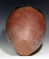 Large Pre Dynastic Black topped Red-ware Jar
