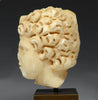 Roman Marble Head of a Youth with Tossed Hair - Art for Eternity