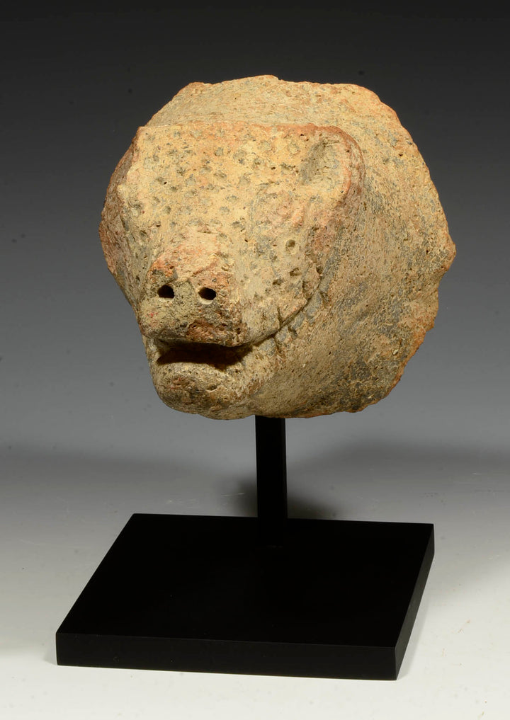 Etruscan Terracotta Boar Head Protome