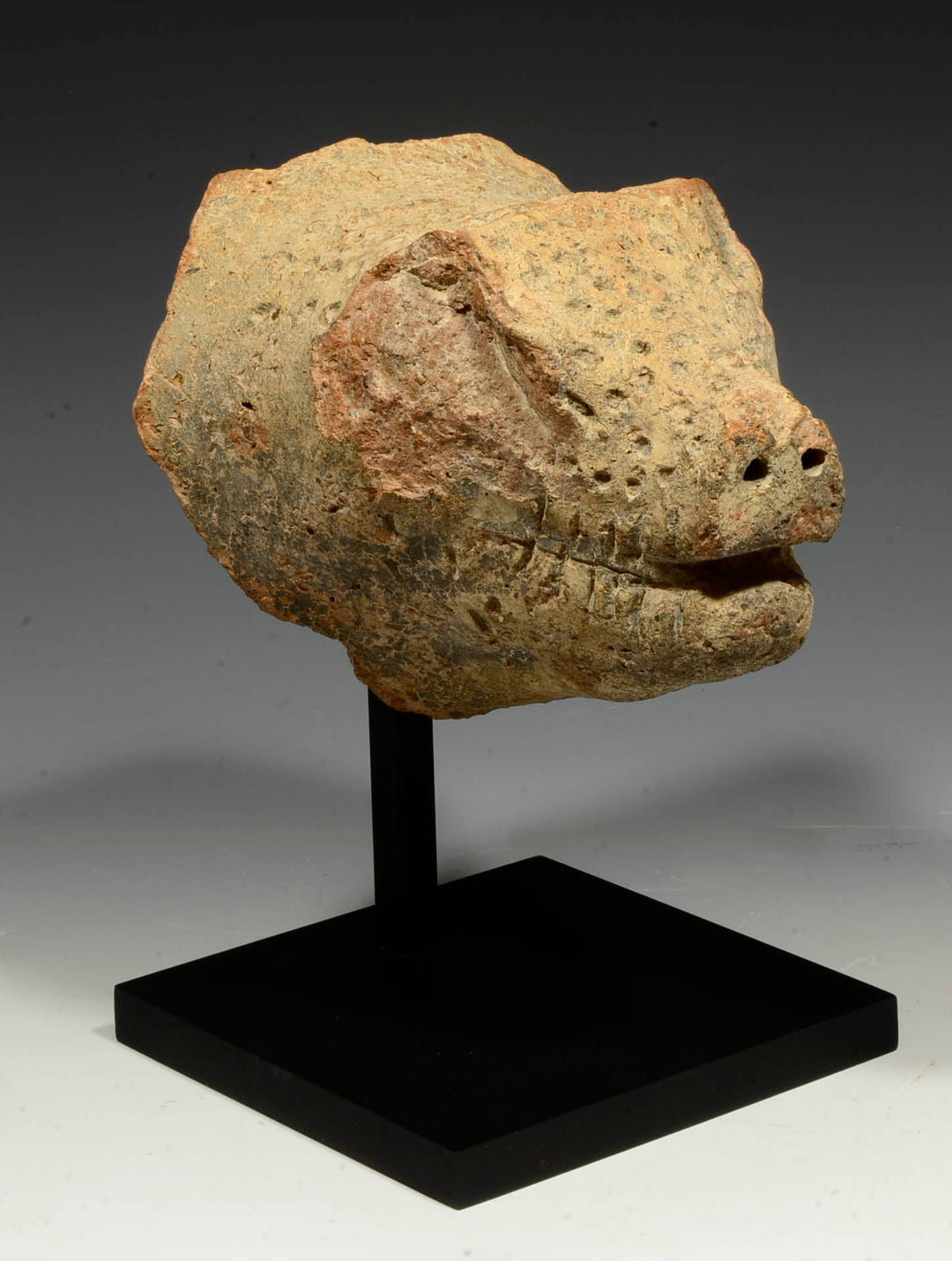 Etruscan Terracotta Boar Head Protome