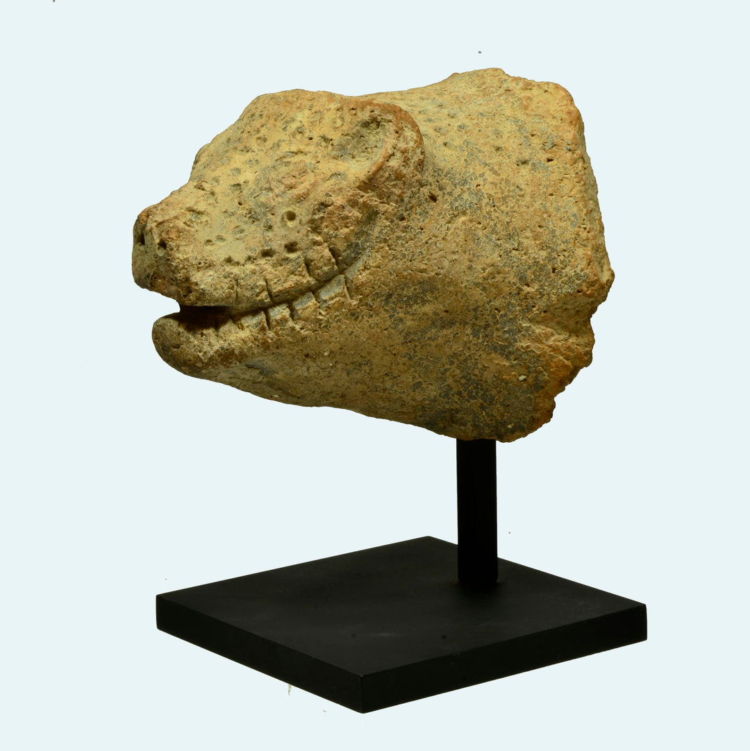 Etruscan Terracotta Boar Head Protome