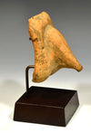 Etruscan Pottery Votive Phallus