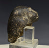Egyptian Basalt Stone Head of a Baboon - Art for Eternity