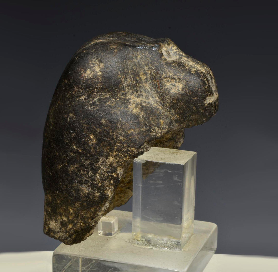 Egyptian Basalt Stone Head of a Baboon