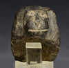 Egyptian Basalt Stone Head of a Baboon - Art for Eternity