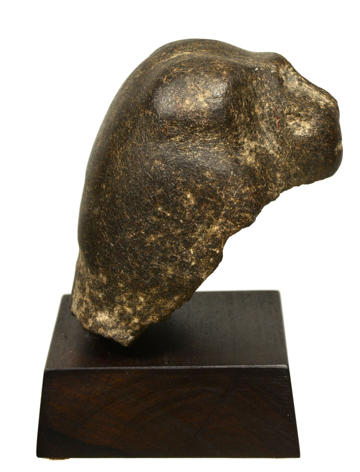 Egyptian Basalt Stone Head of a Baboon